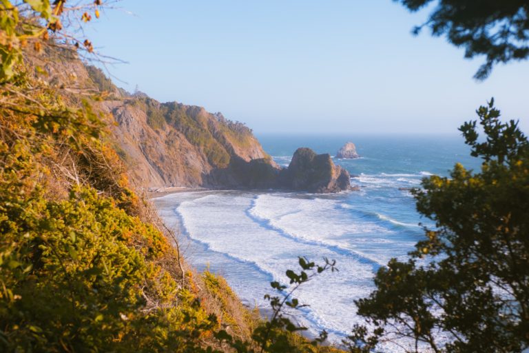 Crescent City's Hidden Gem Endert's Beach a complete guide » Miss Rover