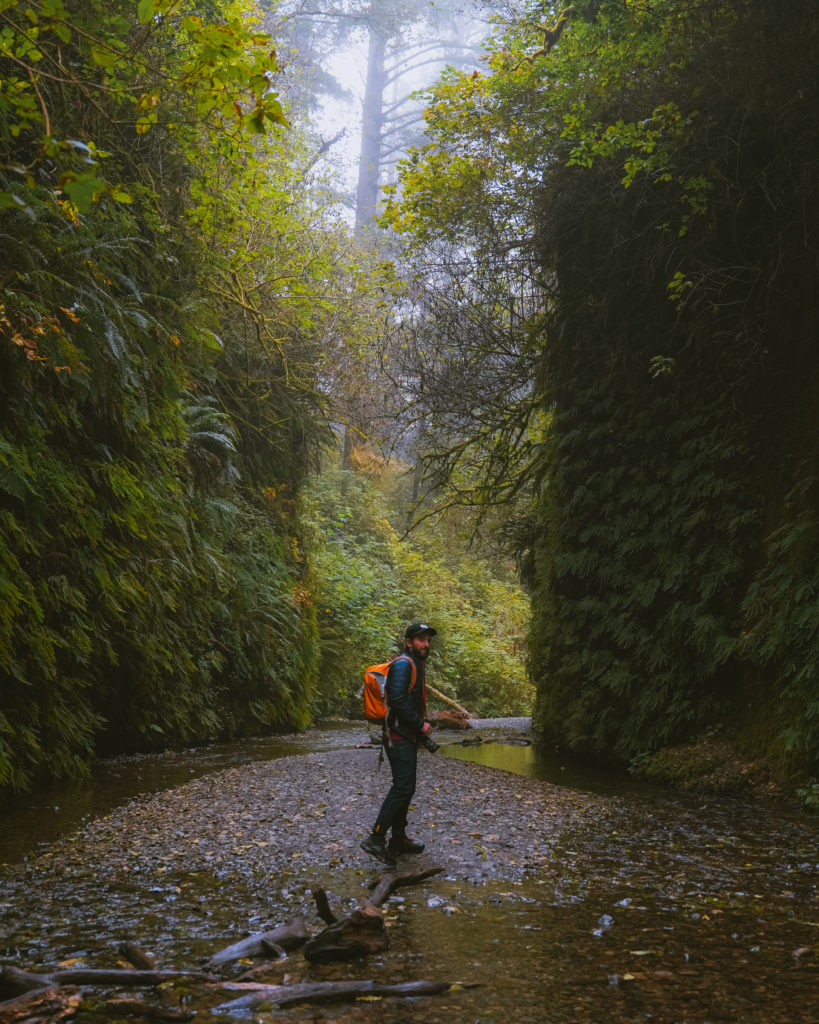 Fern Canyon