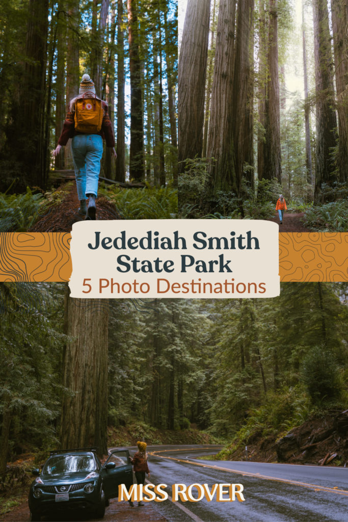 Visit these 5 Best Redwood Photo Spots in Jedediah Smith State Park in Northern California! This could be added on to a road trip or made a road trip all in itself. Come see some of the world's Tallest Redwoods here!