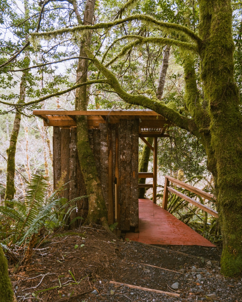 A charming forested outdoor bathroom at the Tree house rental in Langlois Oregon. Truly a Lou with a view. 