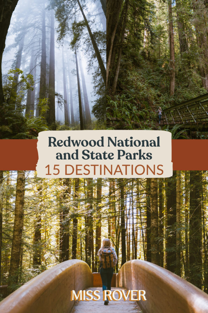 15 Best Redwood Destinations. The Redwood National and State Parks are home to the tallest trees in the world. Check out the best spots in this complete guide.