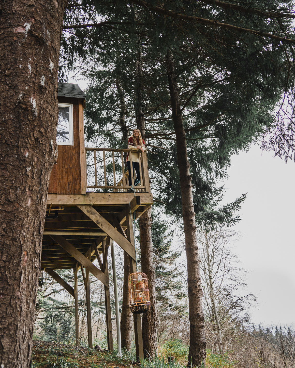 Oregon Treehouse Rental Complete Guide to Epic Coastal Destinations