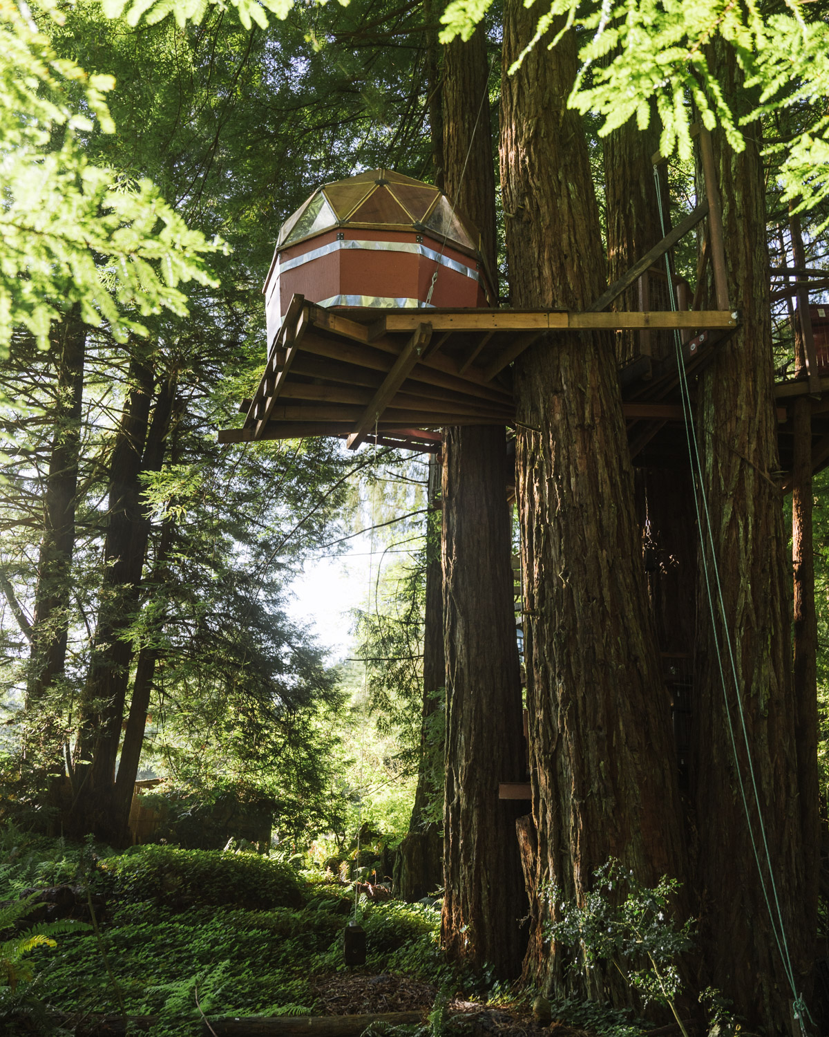Redwood Treehouse Airbnb in California: Ultimate Redwood Getaway - Miss  Rover