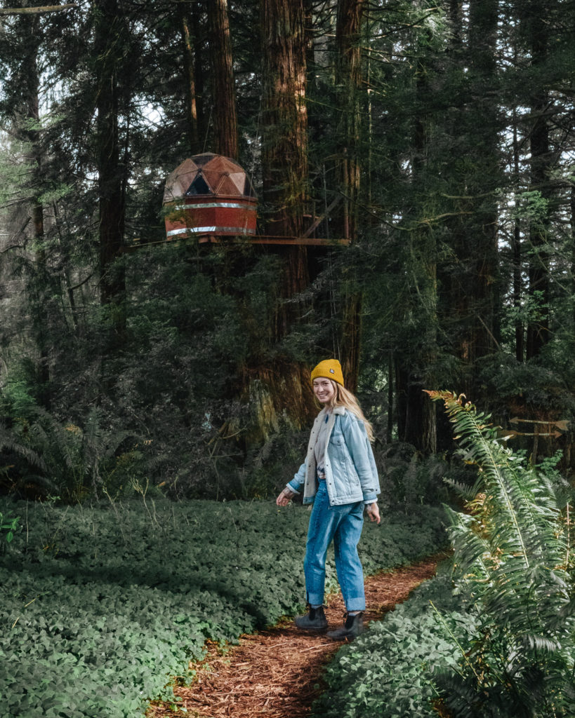 Crescent City California Treehouse in the Redwoods