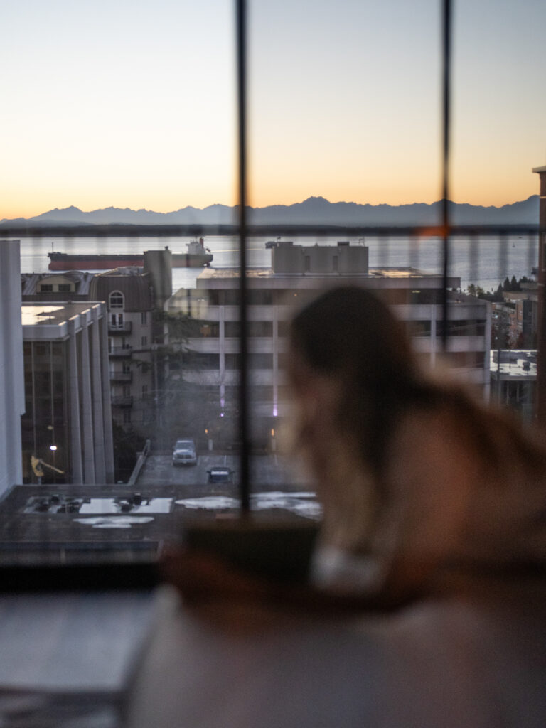 view of the Olympic Mountains from Seattle Hotel