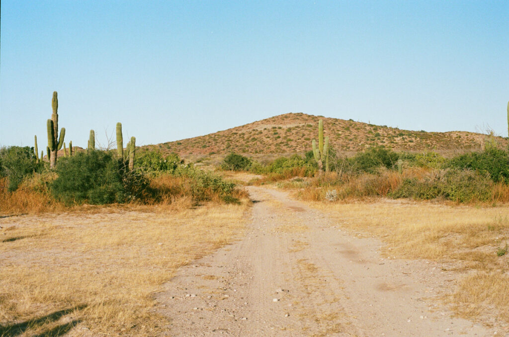 road trip to baja california