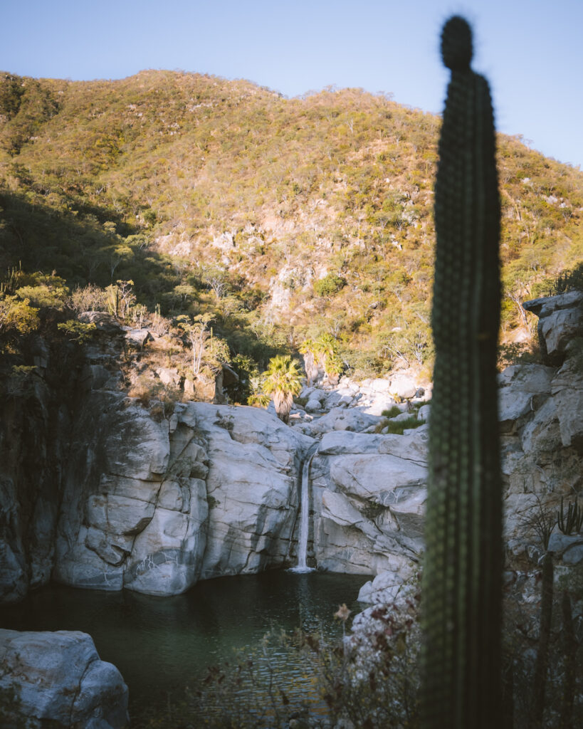 the best hidden gems in Sierra la Laguna of Baja California Sur. This guide details where to go, stay and how to get there! Best swimming holes in Baja and day trip from Cabo!