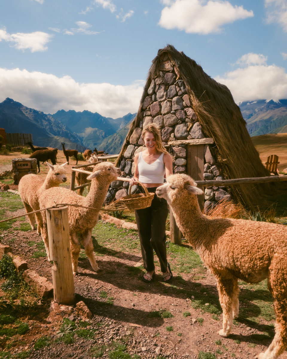Best Place to Stay in Cusco: ultimate cabin stay with llamas