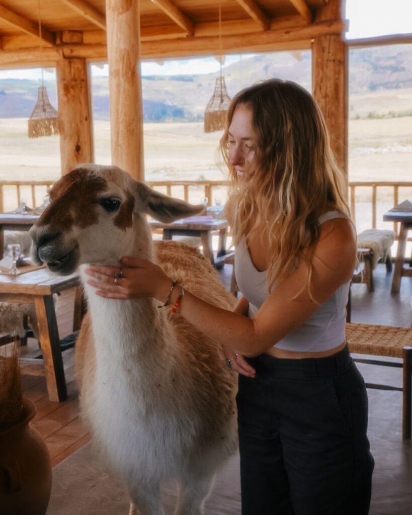 hang out with llamas at this cabin in peru