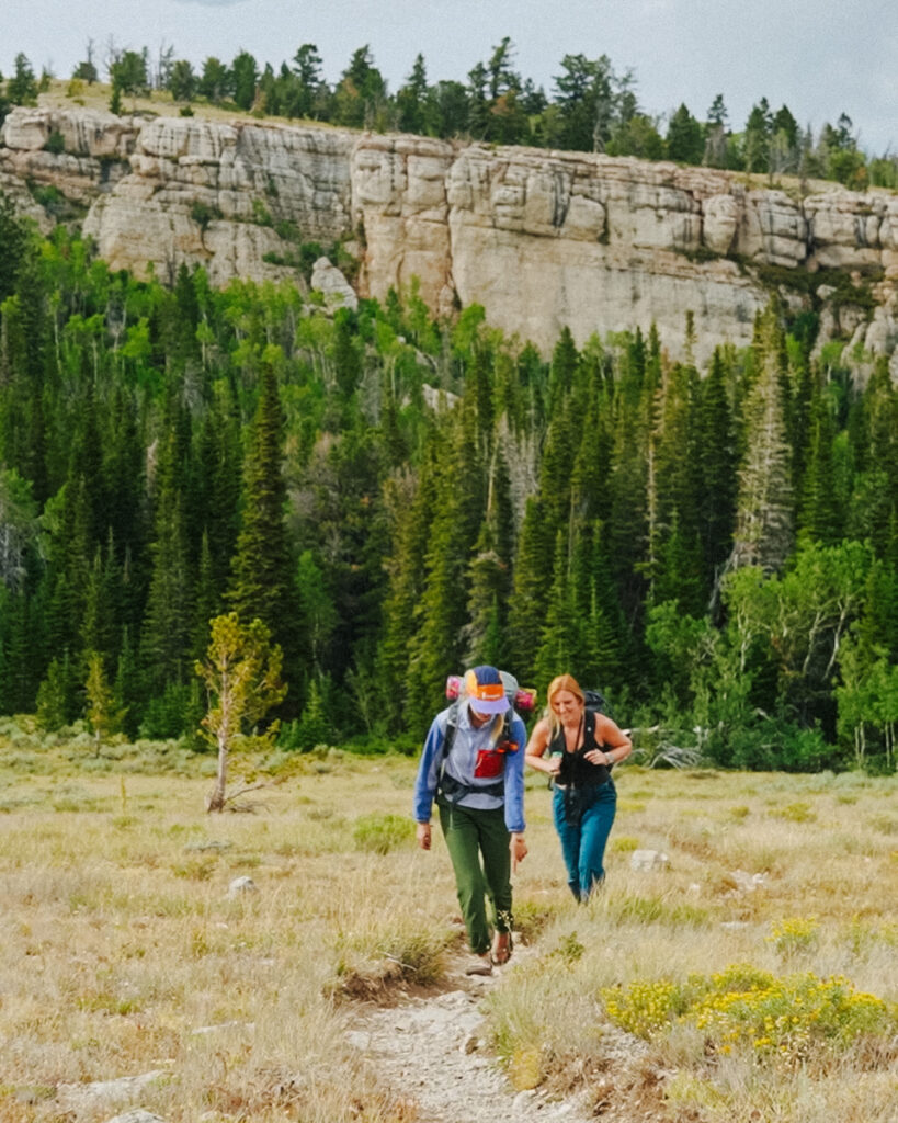 Enjoy the best of the outdoor and town activities in the underrated city of Lander Wyoming. 8 best things to do in Lander Wyoming. Climbing at Wild Iris