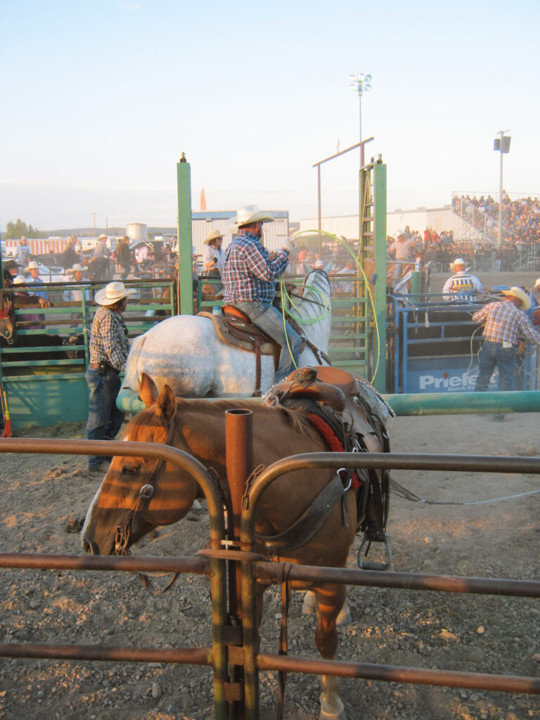 Rodeo in Lander Wyoming. Enjoy the best of the outdoor and town activities in the underrated city of Lander Wyoming. 8 best things to do in Lander Wyoming.